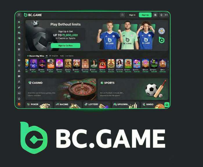 Experience the Thrill of BC.Game Brazil Casino -284845057